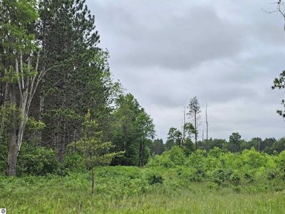 0 N Menzies Rd, Lake City, MI, 49651