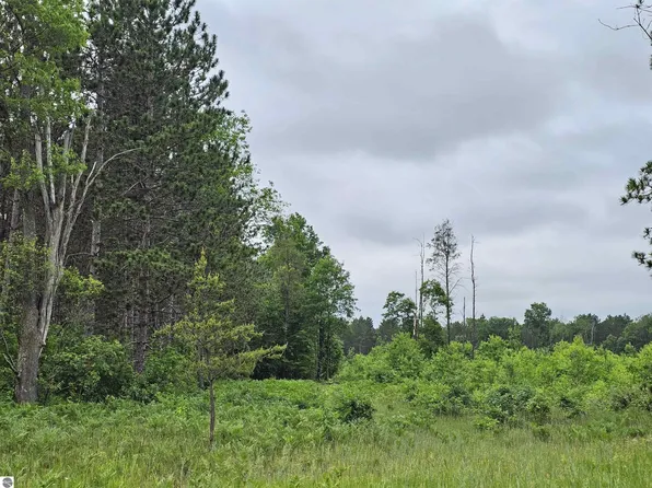 0 N Menzies Rd, Lake City, MI 49651