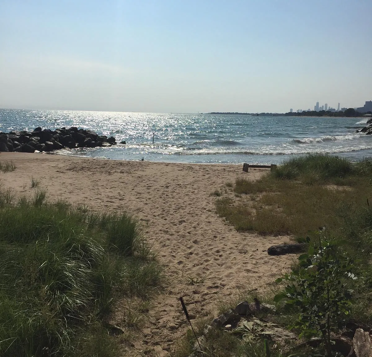 1 bed, 800 sqft, $1,649 — Photo 1