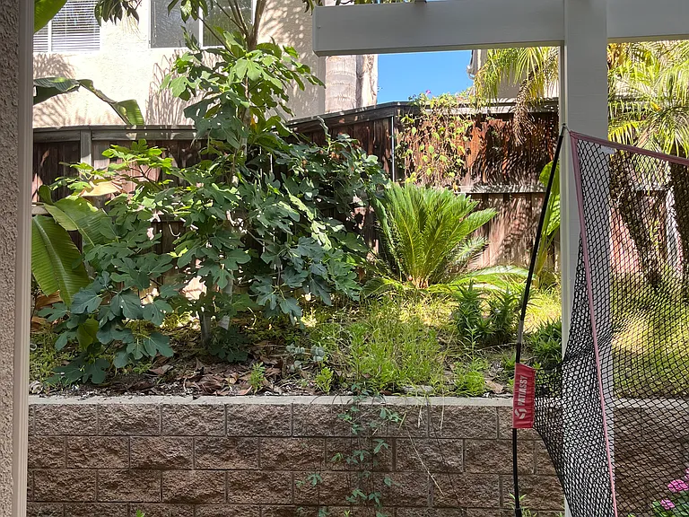 10797 Calle Mar De Mariposa — Photo 19