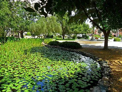 Stunning Goleta Gardens across the street from the complex!