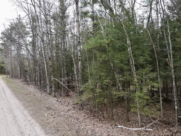 Par 4 Needles Rd, Indian River, MI 49749