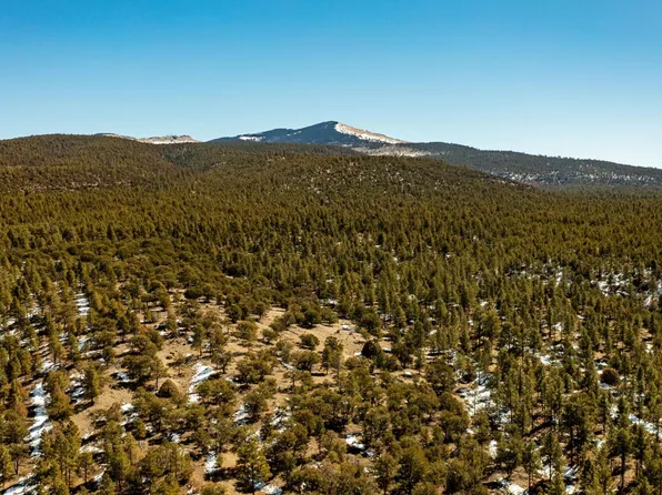 0 Forest Service Rd #450, Grants, NM 87020