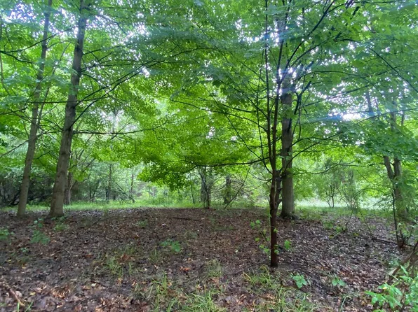 0 Dartmouth Rd, Clarkston, MI 48348