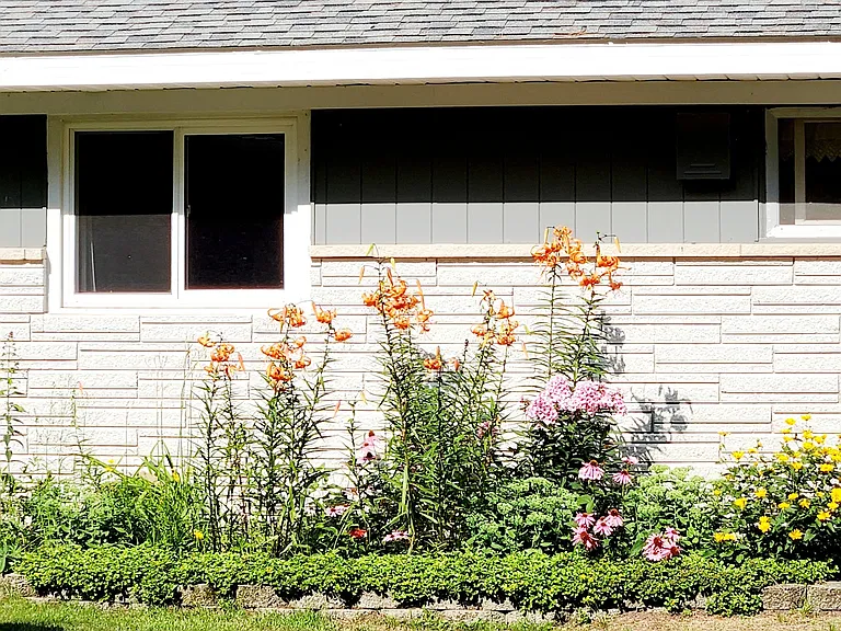 Landscaping with beautiful flowers