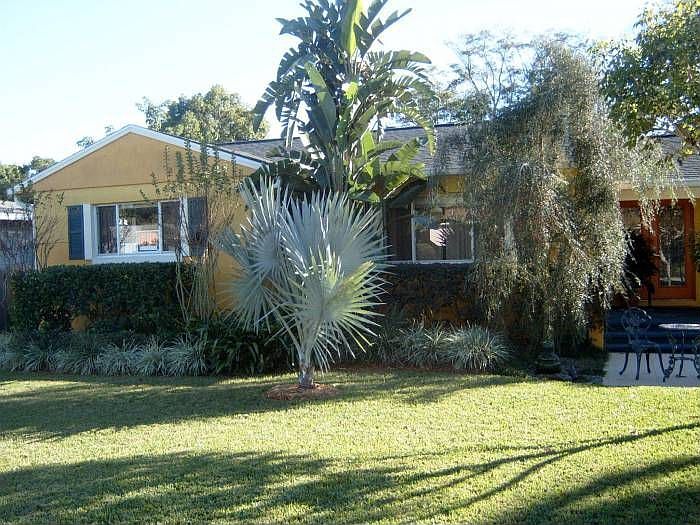 Front yard