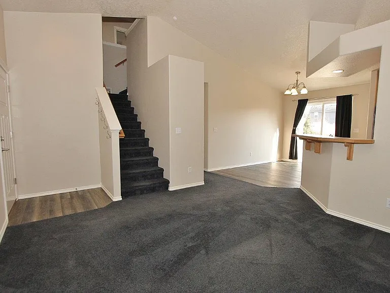 17696 Dark Zebra Way — Photo 6