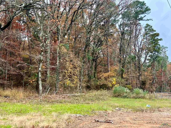 390 Tbd Loop, Marshall, TX 75672