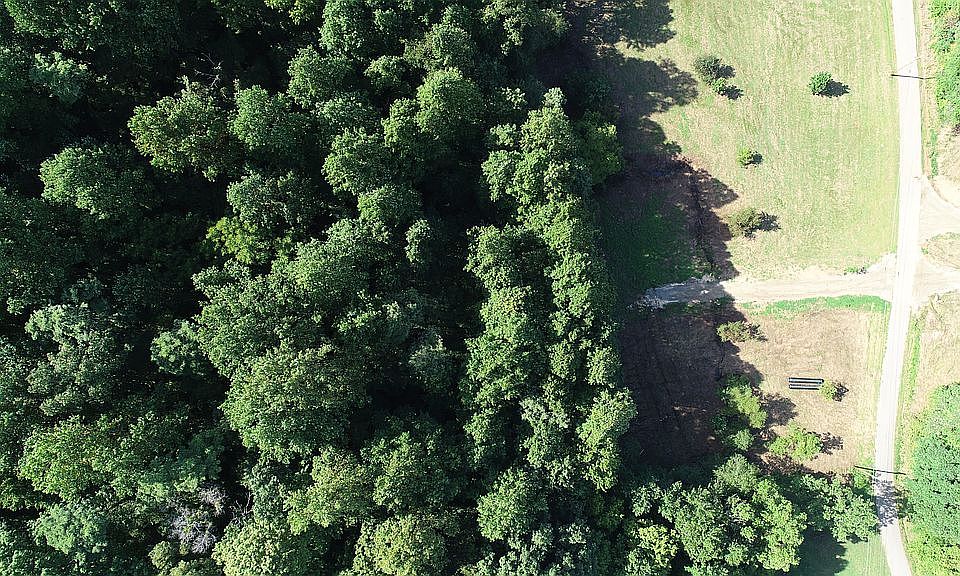 2nd image of 519 Mel Hall Rd