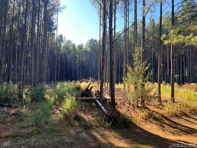 53 White Oak Ct, Boydton, VA, 23919