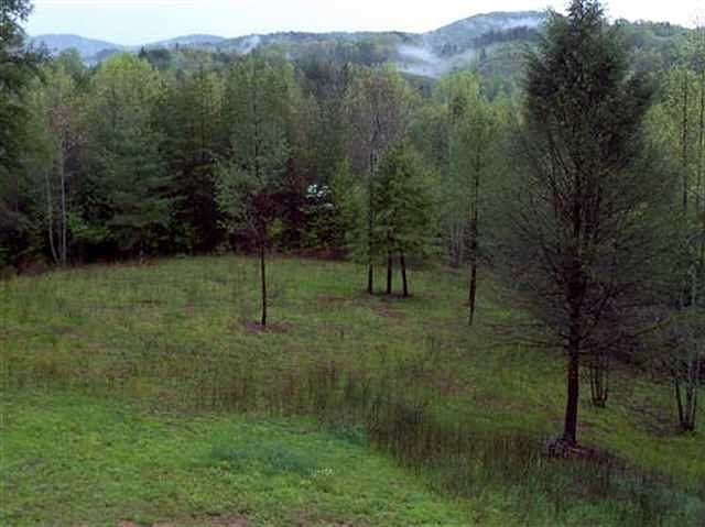 1st image of 7503 Highway 411
