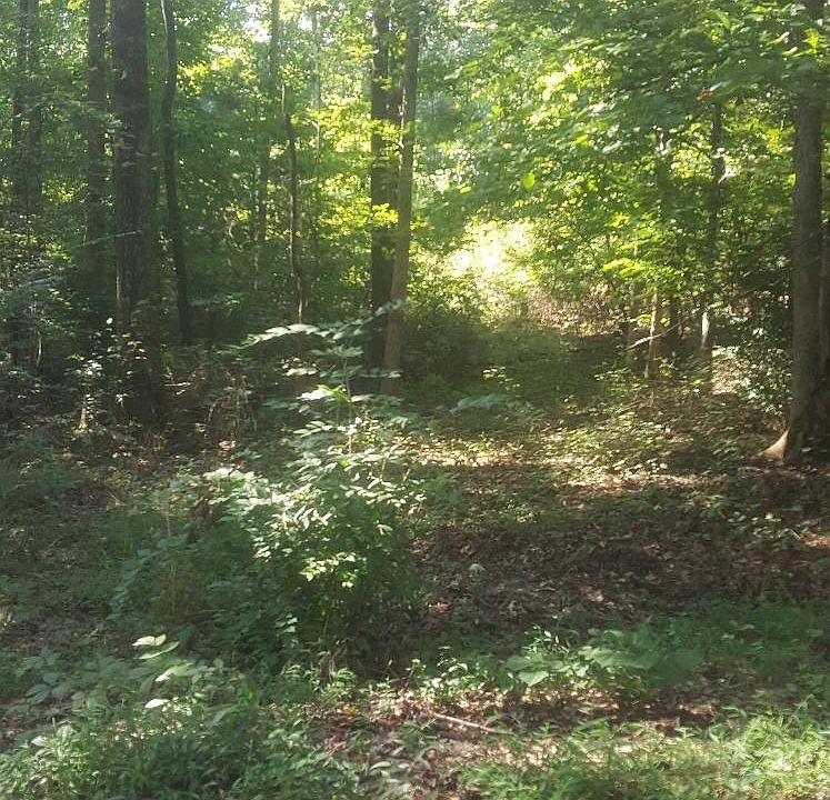 2nd image of Pine Grove Rd