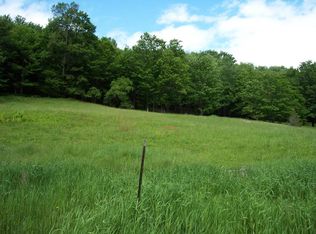 0 Carcass Brook Rd, East Branch, NY 13756