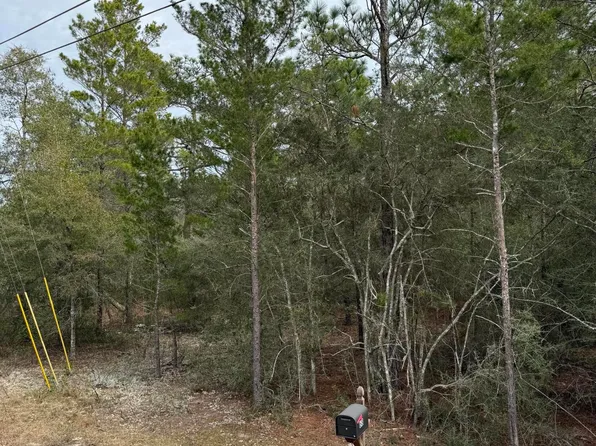 22 W Picasso Cir, Defuniak Springs, FL 32433