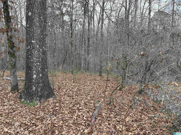 9906 Trammel Rd, Dora, AL 35062