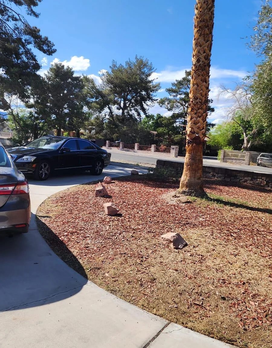 6 bed, 3000 sqft, $4,500 — Photo 3