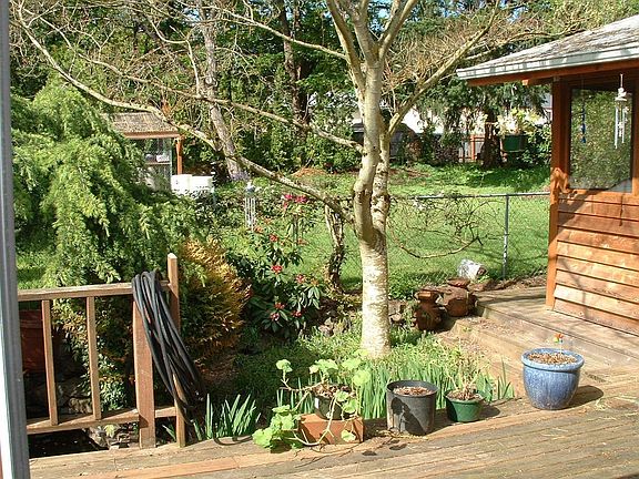 Spacious back yard