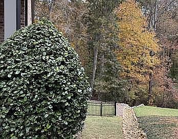 4th image of 3105 Arbor Vine Way