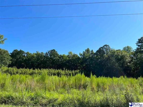 Cowhead Rd, Hemingway, SC 29554