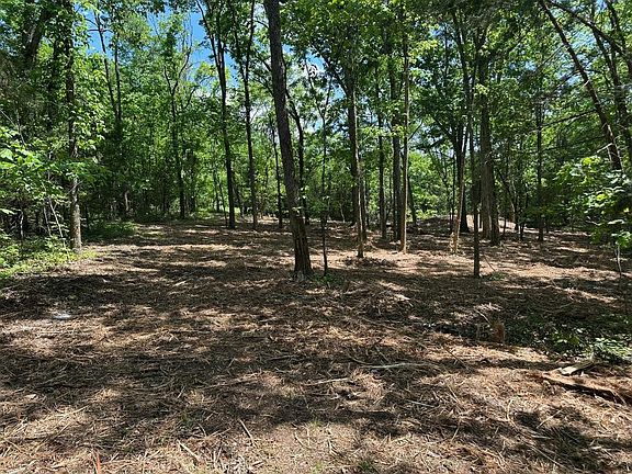 5th image of 10515 Paw Paw Springs Rd
