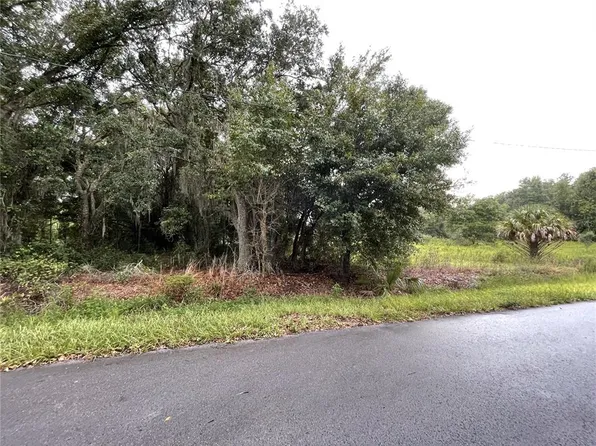 Locust Run Radl Lot 16, Ocala, FL 34472