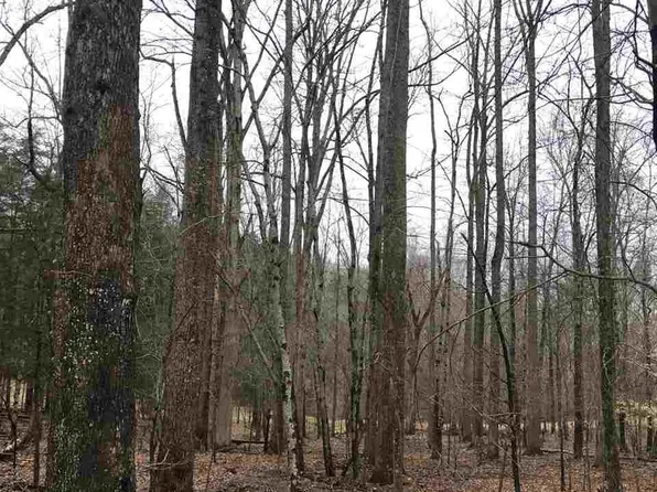 503 Garden Ln, Palmyra, VA 22963