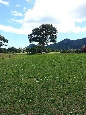 4th image of 2376 Kanio St Lot 1484