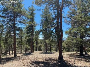 12 S Insmont Cir, Florissant, CO 80816