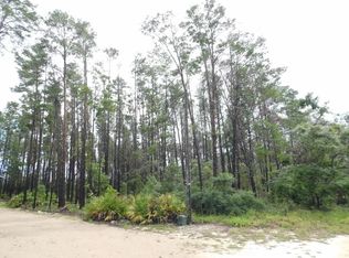  Oak Pond Ln, Steinhatchee, FL 32359