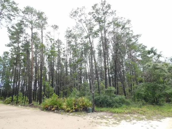  Oak Pond Ln, Steinhatchee, FL 32359