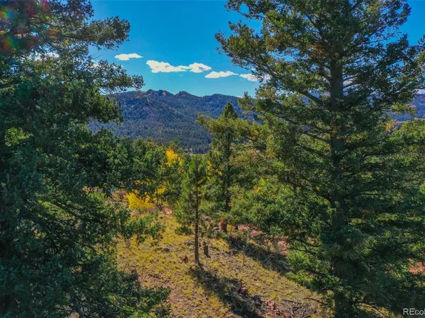 480 Ponderosa Drive, Florissant, CO 80816