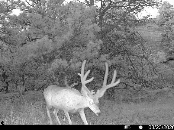 4th image of 190 Soester Rd