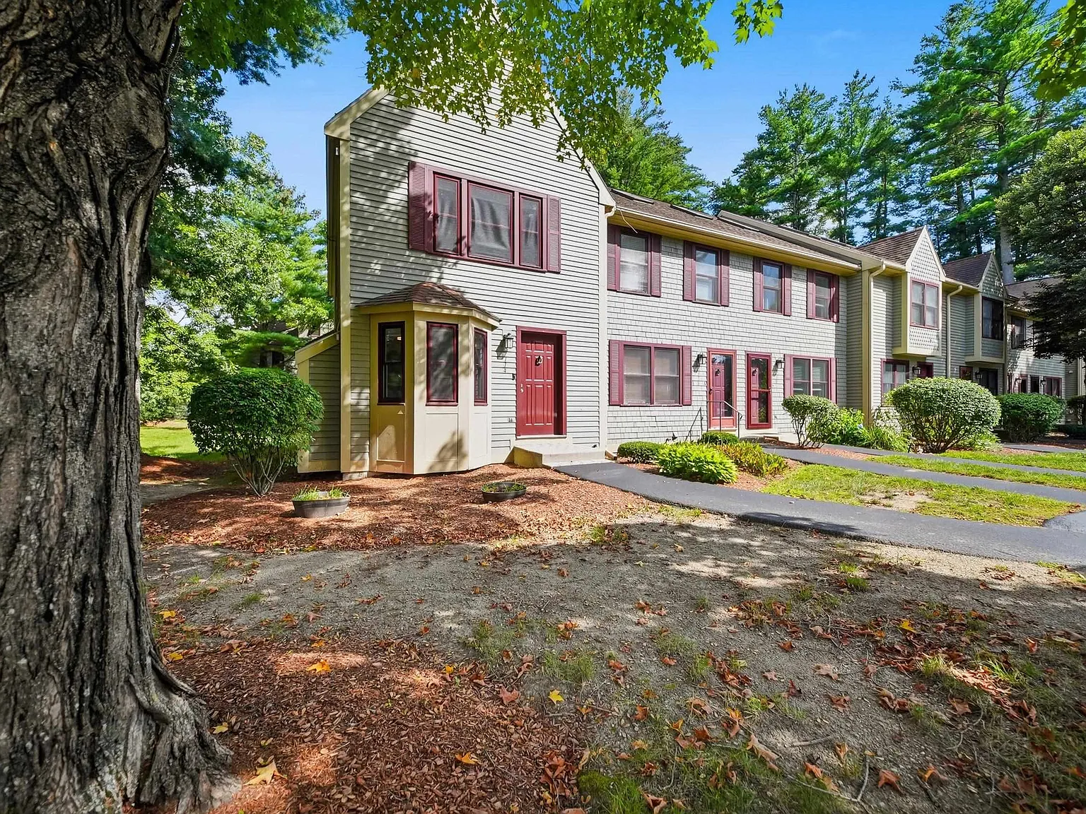 2 bed, 1.5 bath, 1411 sqft, $3,800 — Photo 2