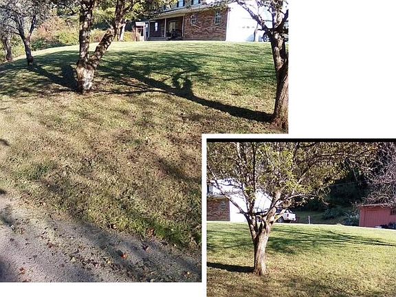 3rd image of 113 Bristo Ln