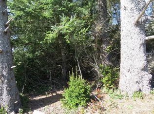 313 Dolphin Ave NE, Ocean Shores, WA