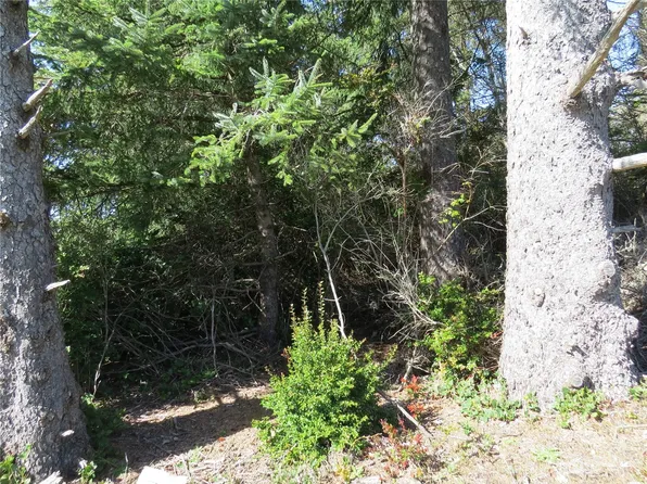 313 Dolphin Avenue NE, Ocean Shores, WA 98569