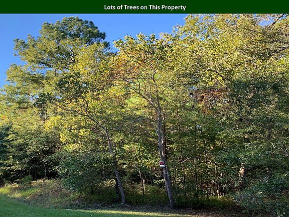 4th image of 1003 County Road 6475