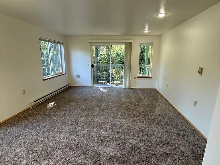 1409 Bradley Lane — Photo 13
