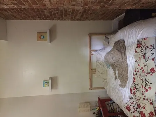 Rented by Nooklyn NYC LLC | media 32