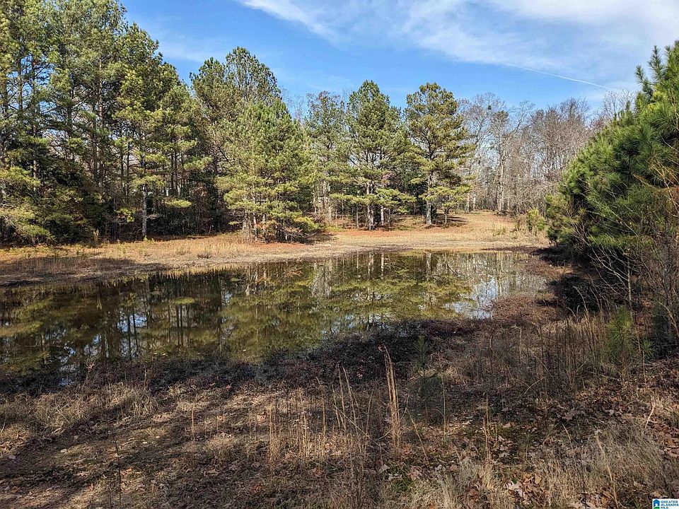 2nd image of 123 McGee Dr