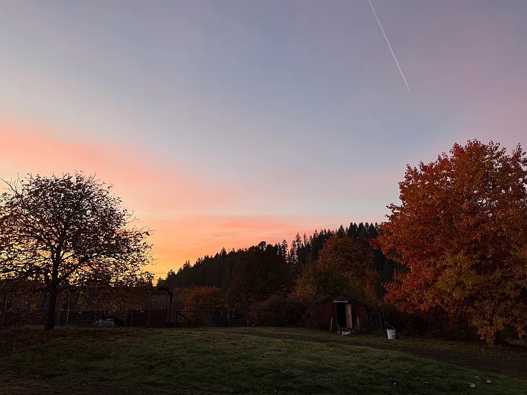 Sunrise