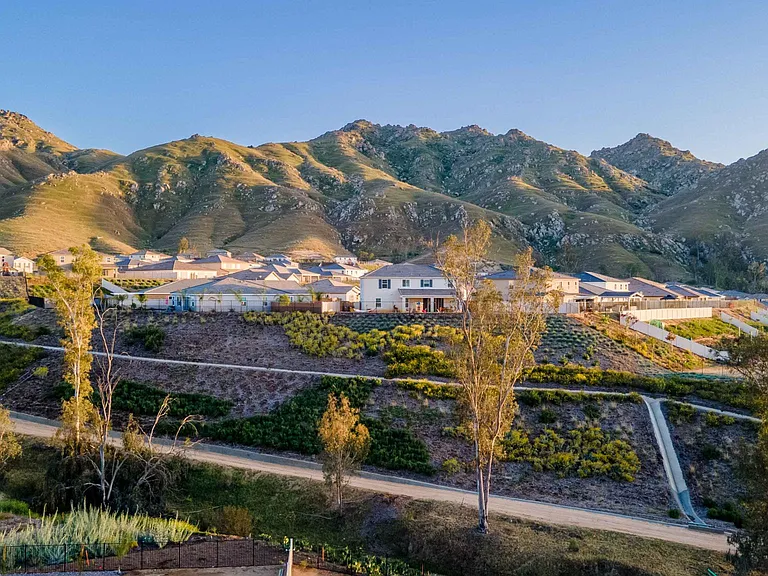 7817 Sunny Gulch Ct — Photo 10