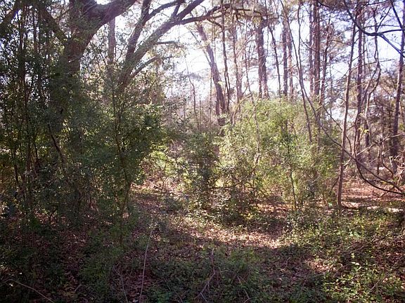5018 Mauss Hill 4