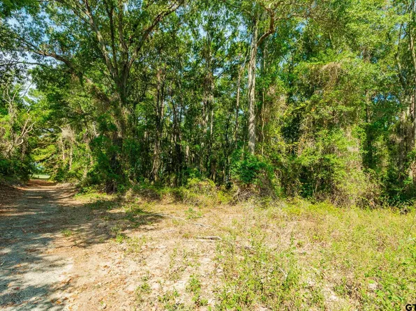 11558 County Road 2298, Tyler, TX 75707