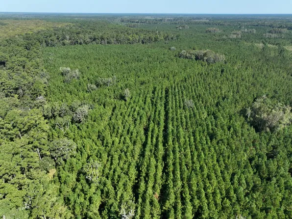 0 State Highway 252, White Oak, GA 31568