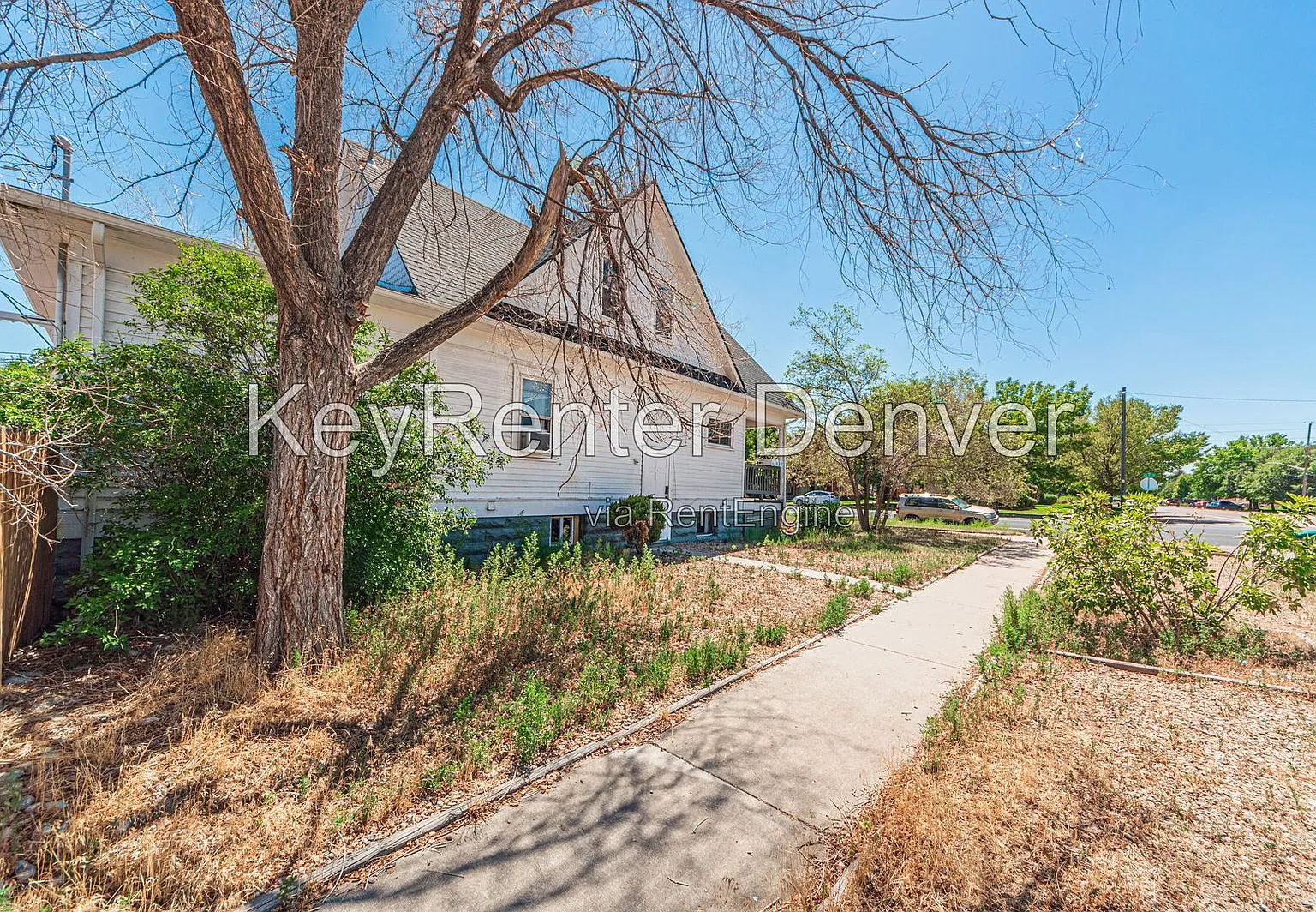 1 bed, 1.0 bath, $800 — Photo 4