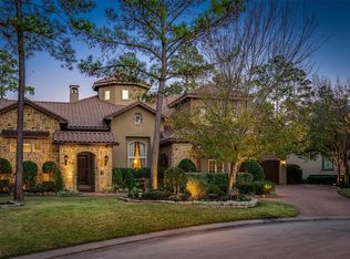 6 Player Green Pl, Spring, TX 77382