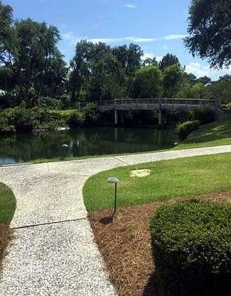 2nd image of 50 Verbena Ln APT 2401