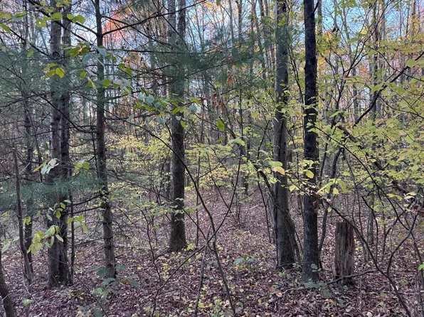 0 Oxbow Rd, Waverly, NY 14892