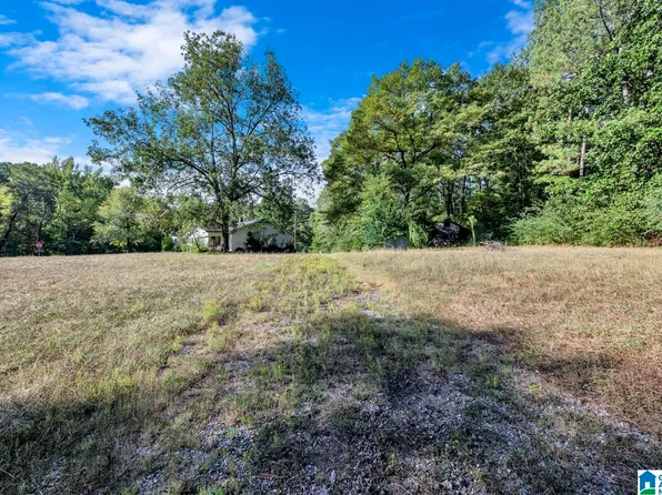 25 Ricetown Rd, Hayden, AL 35079